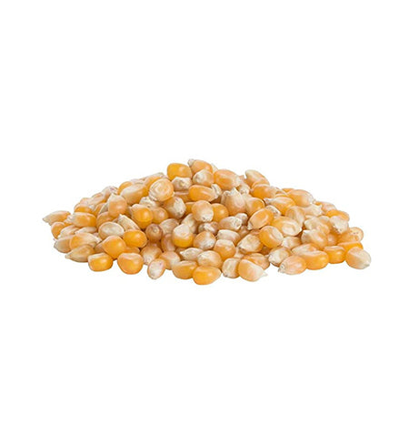 Popping Corn - Kernel